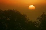 Sun Rising Out Of Fog_22800